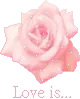 rose