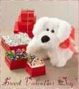 Sweet Valentine's Day!