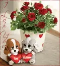Happy Valentin's Day!