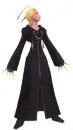 larxene orgainzation 13