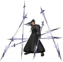 xaldin organization 13