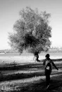 run away