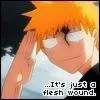 Ichigo Kurosaki