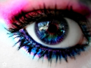 eye