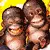monkey