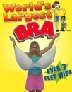 World's Largest Bra