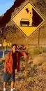 Be Aware of falling cows