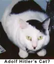 Hitler's cat