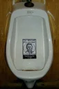 Urinal