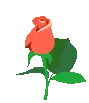kyawzintunn