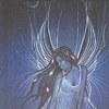 Fairy