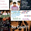 The Jonas Brothers