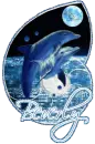 beverly dolphins