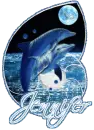 jennifer dolphins