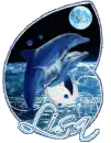 lisa dolphins