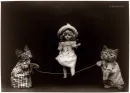 girl playing with cats