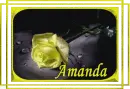 Amanda