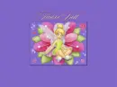 Tinkerbell Background