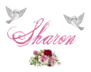 The name Sharon