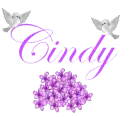 The name Cindy