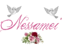 The name Nessamei