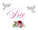 The Name Sue