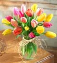 tulips