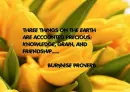 flowers....and quotes