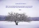 lonely tree...