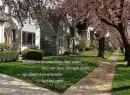 happy house