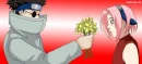 Shino & Sakura...