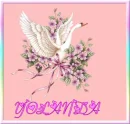 PRETTY SWAN