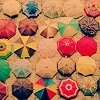 umbrella
