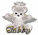 Tabby Bear
