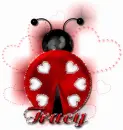Tracy Lady Bug