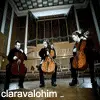 Apocalyptica
