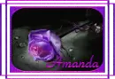Amanda