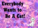 kat