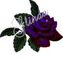 Glinda Rose
