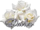Glinda Roses