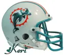 Miami Dolphins Helmet with Name