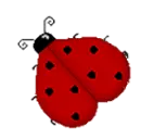 Ladybug with Name