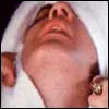 Elvis Aaron Presley