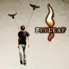 Flyleaf