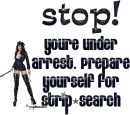 Stop! youre under arrest