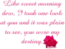 you were my destiny