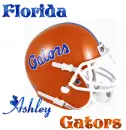 Florida Gators Helmet with Name and Glitter