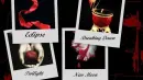 Twilight Series Covers
