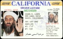 Osama binladin