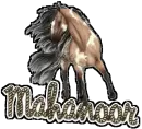 mahanoor wild horse